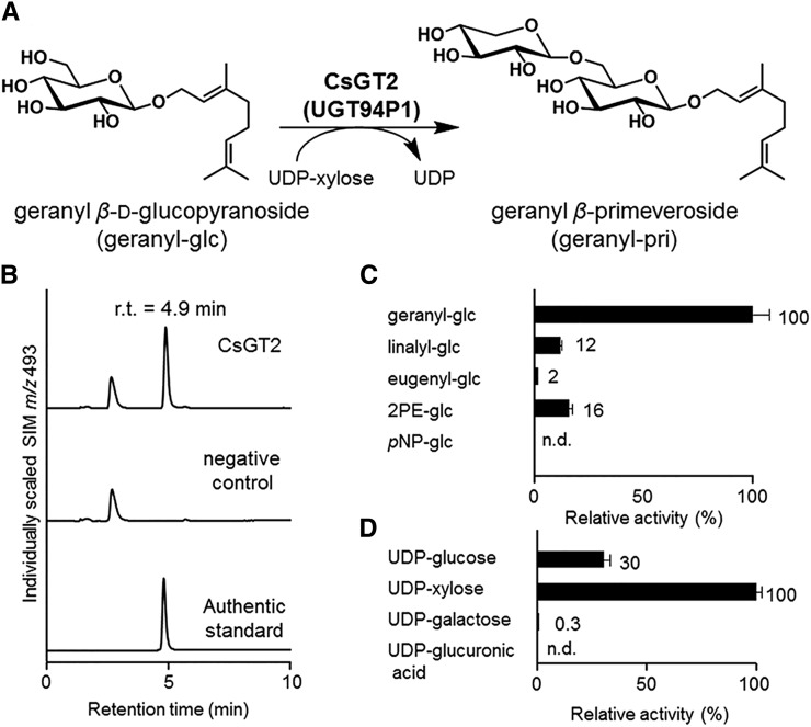 Figure 4.