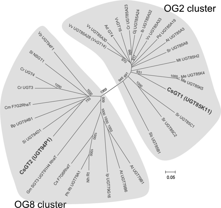 Figure 7.