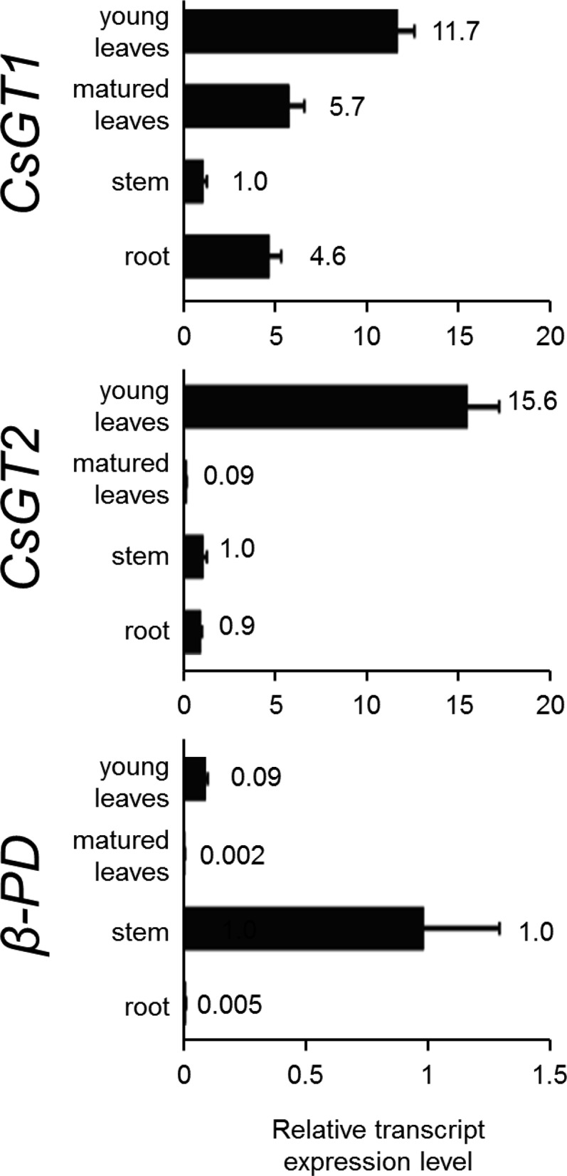 Figure 6.