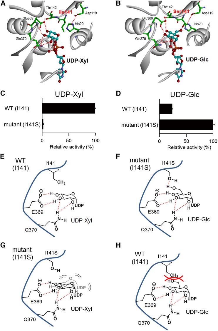 Figure 5.