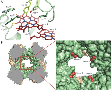 Fig. 3