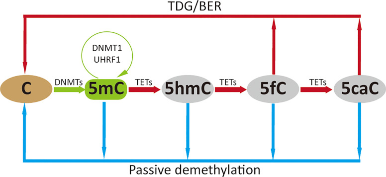 Figure 1