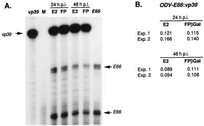FIG. 4