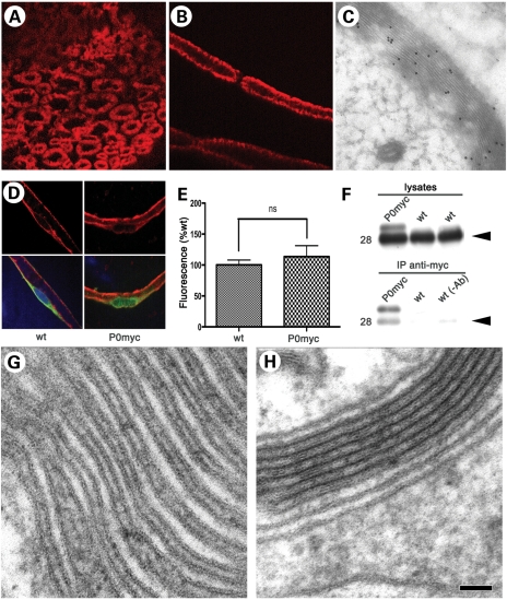 Figure 2.