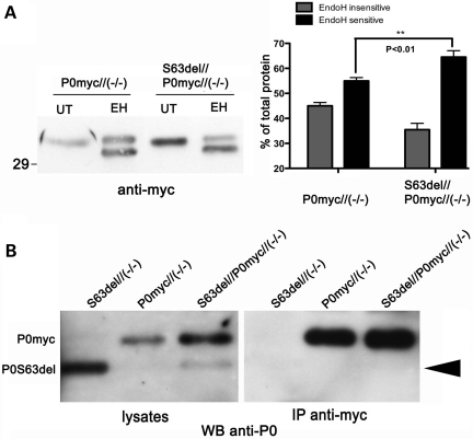 Figure 4.