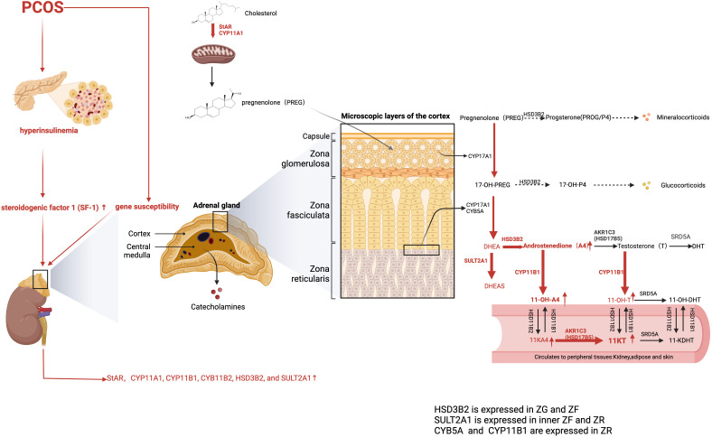 Figure 3