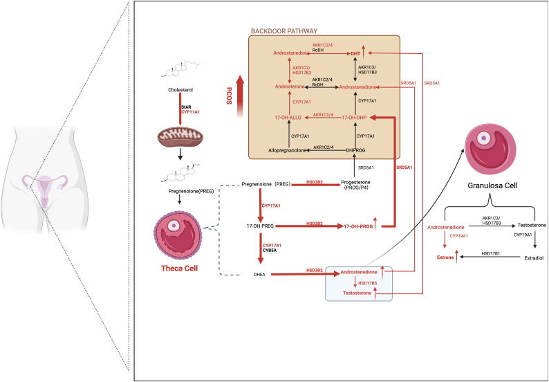 Figure 2