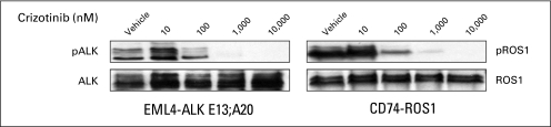 Fig 3.