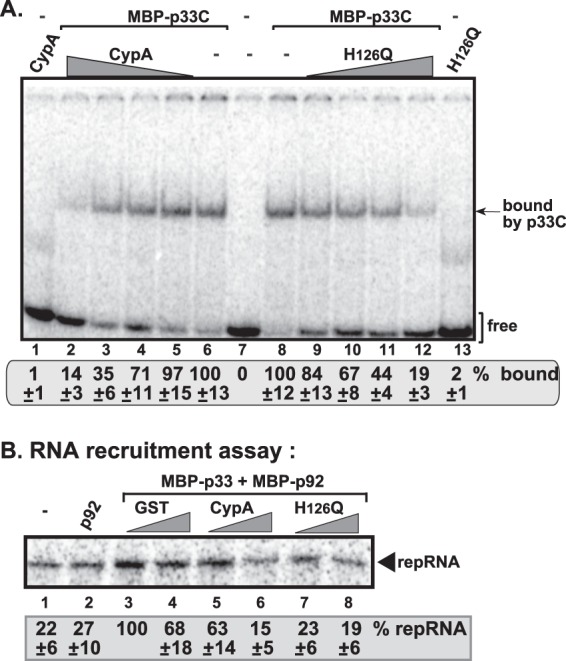 Fig 8