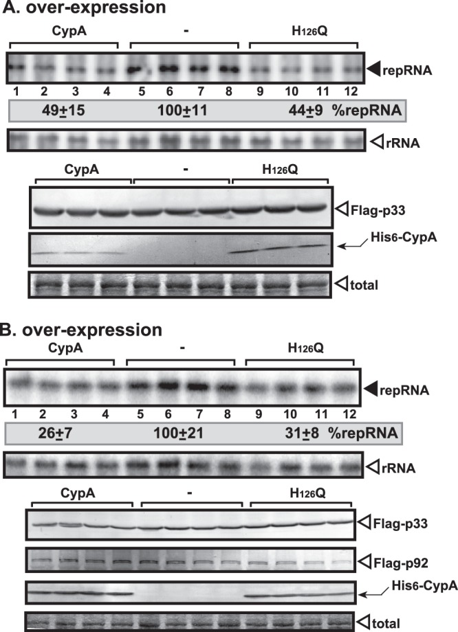 Fig 10