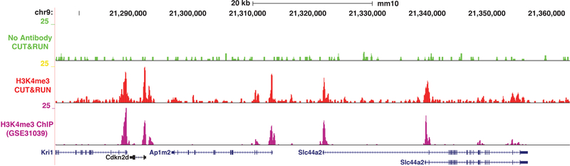 Figure 4: