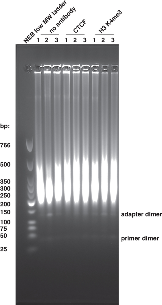 Figure 2: