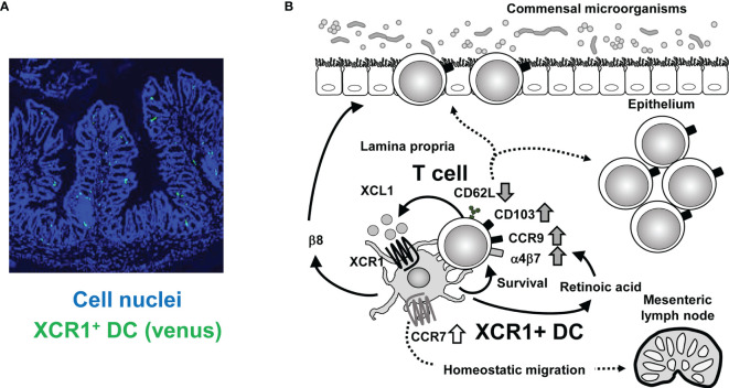 Figure 1