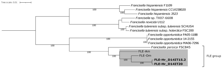 Figure 2