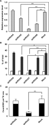 FIGURE 7: