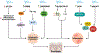 FIGURE 2 |