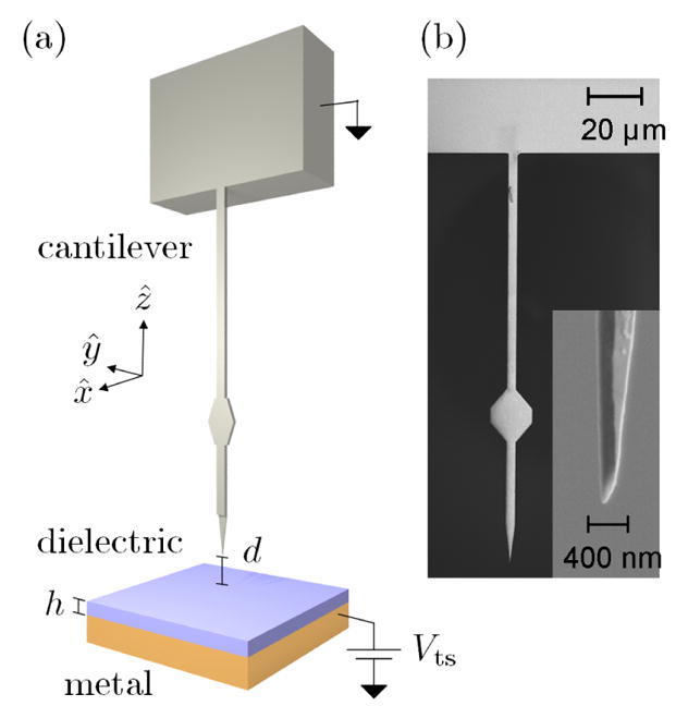 FIG. 1