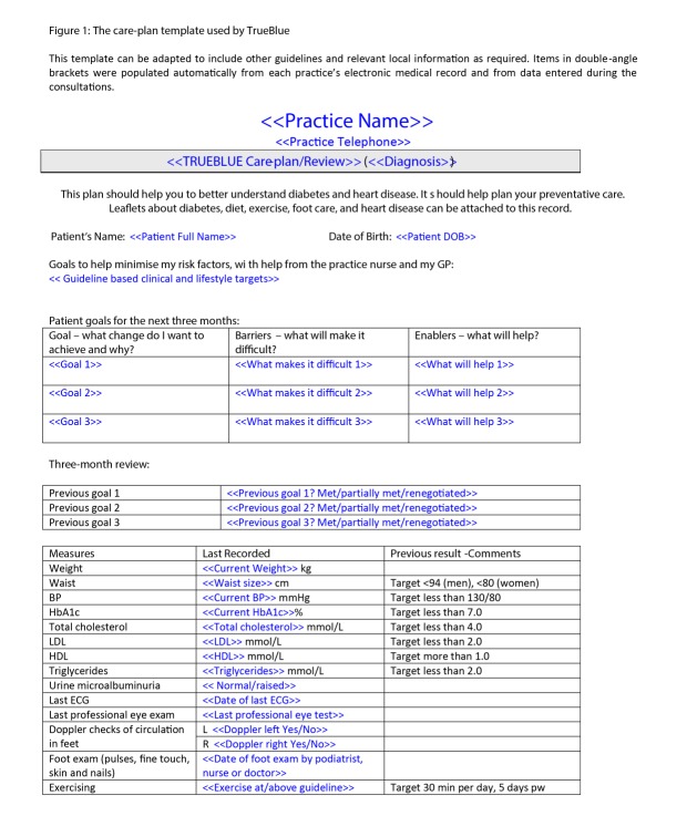 Figure 1: The care-plan template used by TrueBlue