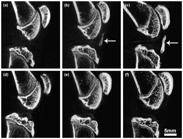 Fig. 8