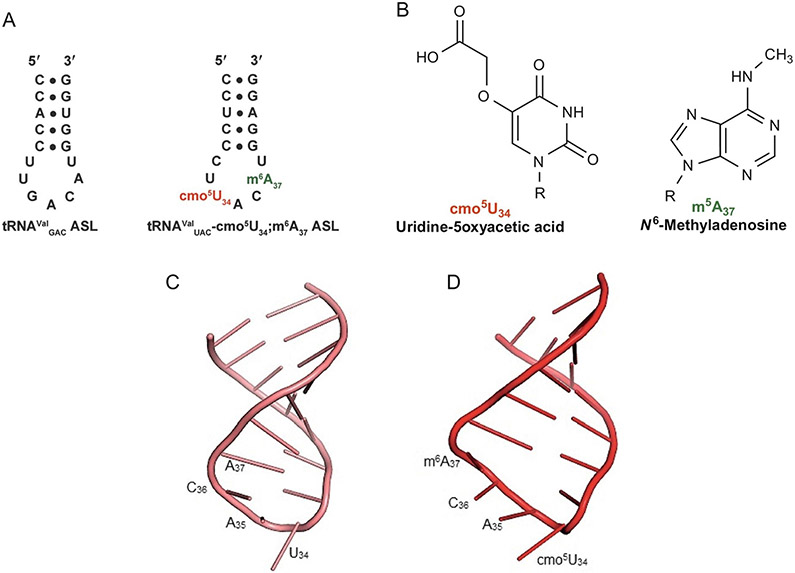 FIG. 8