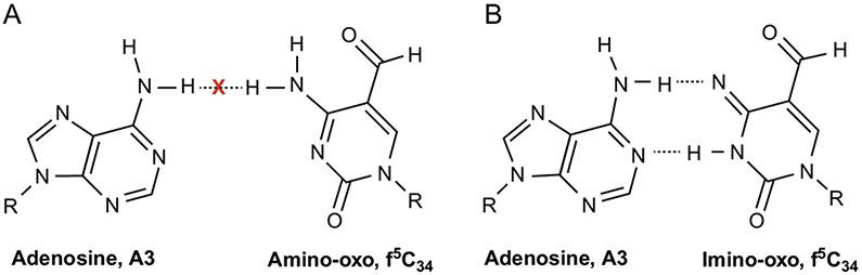 FIG. 5