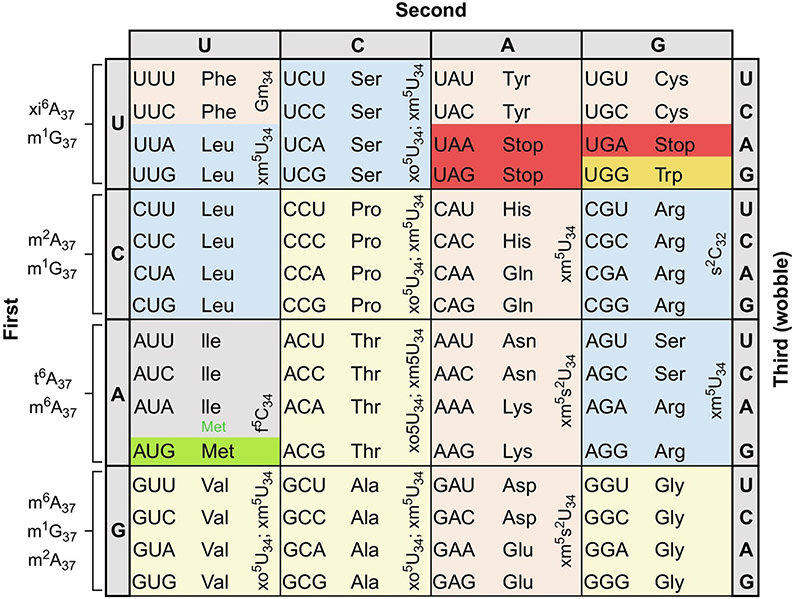 FIG. 1