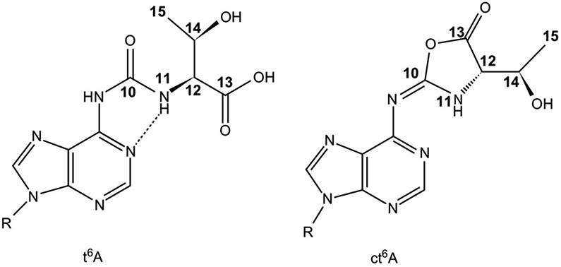 FIG. 7