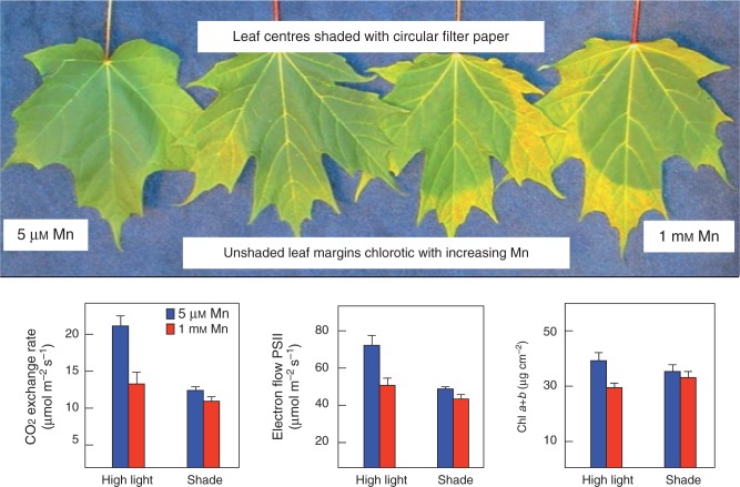 Fig. 3.