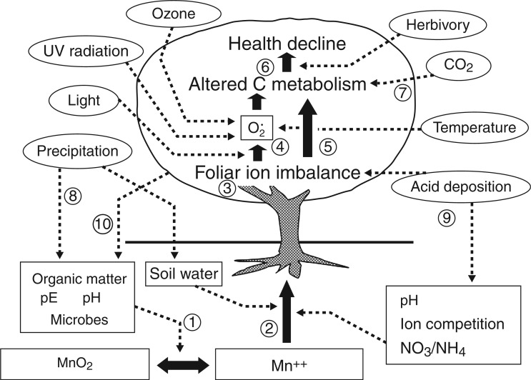 Fig. 1.