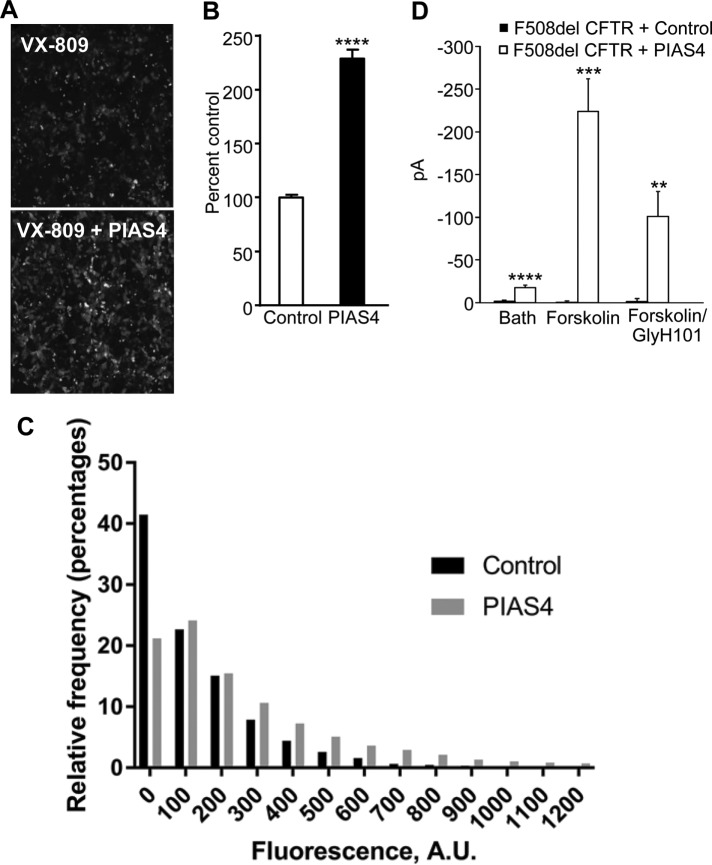 FIGURE 4: