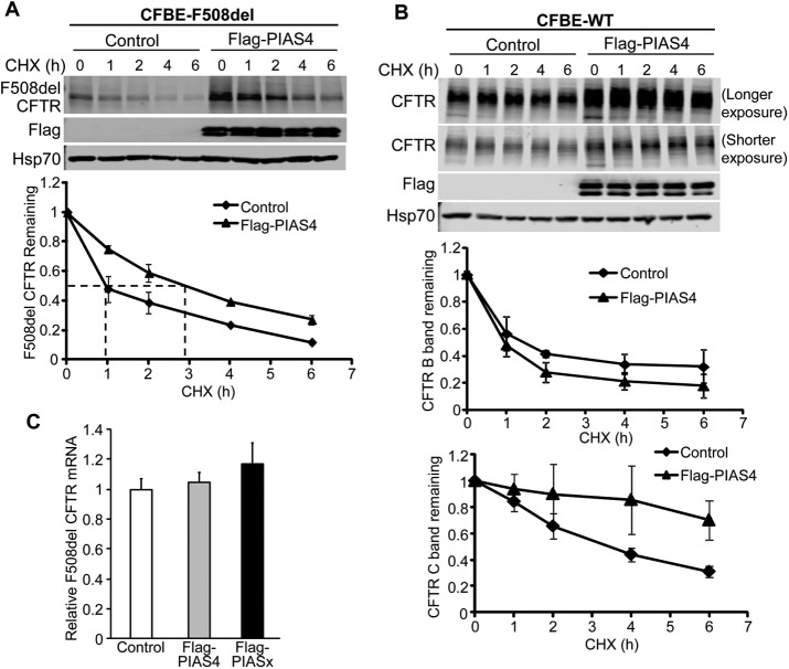 FIGURE 3: