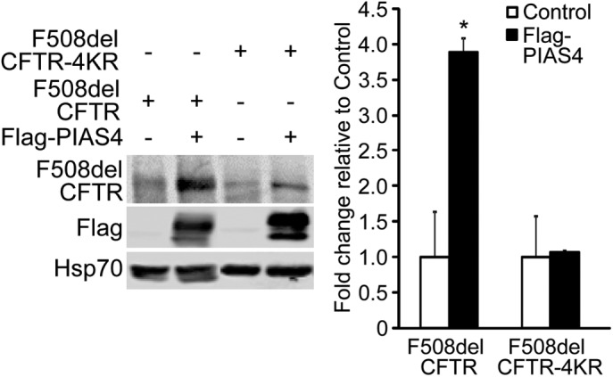 FIGURE 7: