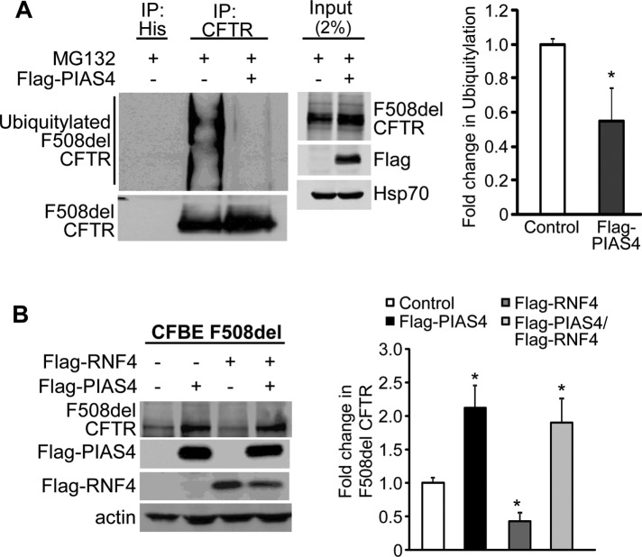 FIGURE 6: