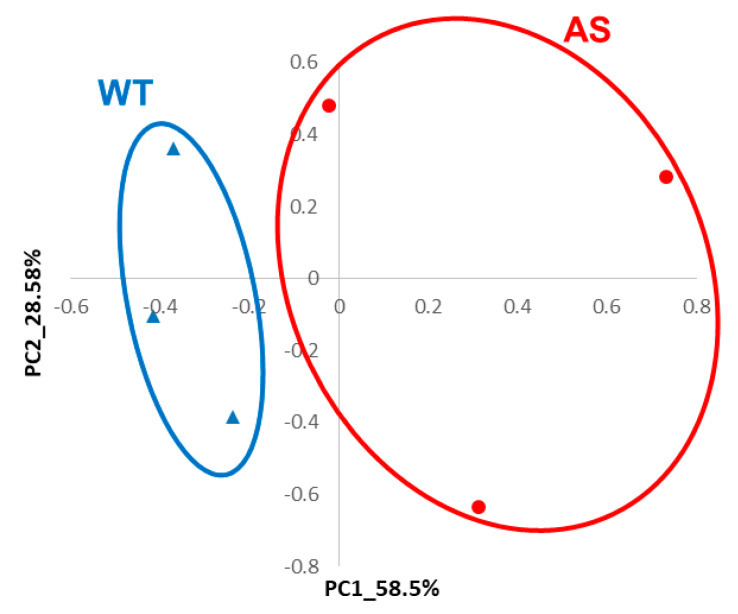 Figure 8