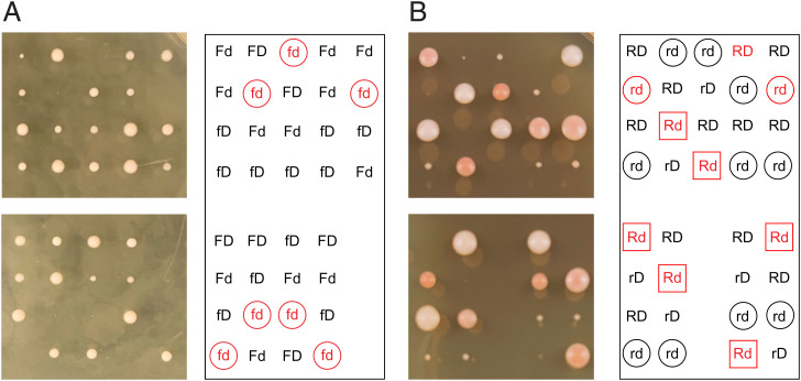 Fig. 6.