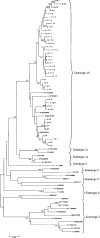 FIG. 1.