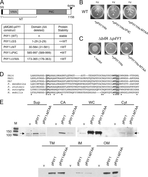 FIG. 7.