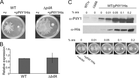 FIG. 4.