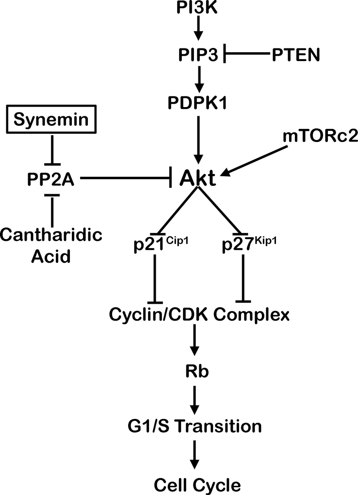 FIGURE 10: