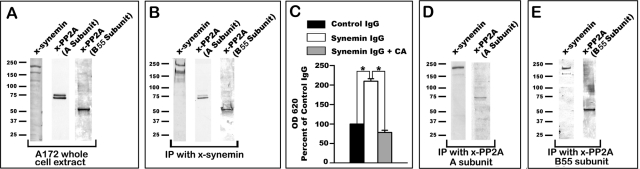 FIGURE 6: