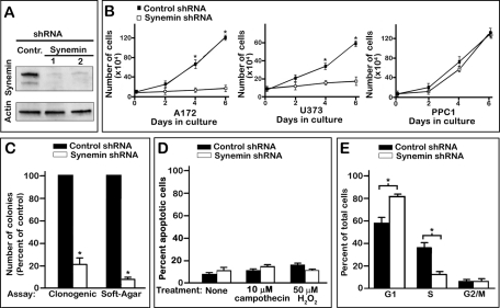 FIGURE 1: