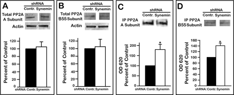 FIGURE 5: