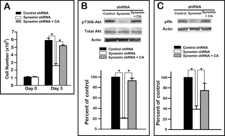 FIGURE 9: