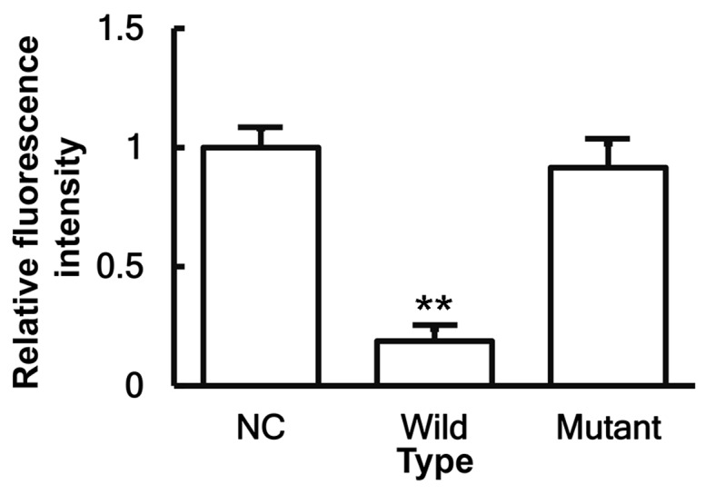 Figure 7.