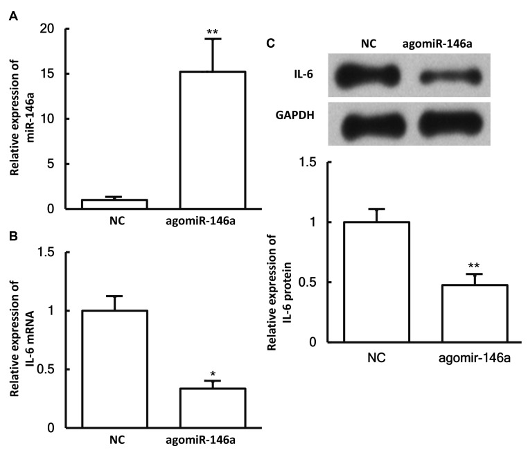 Figure 6.