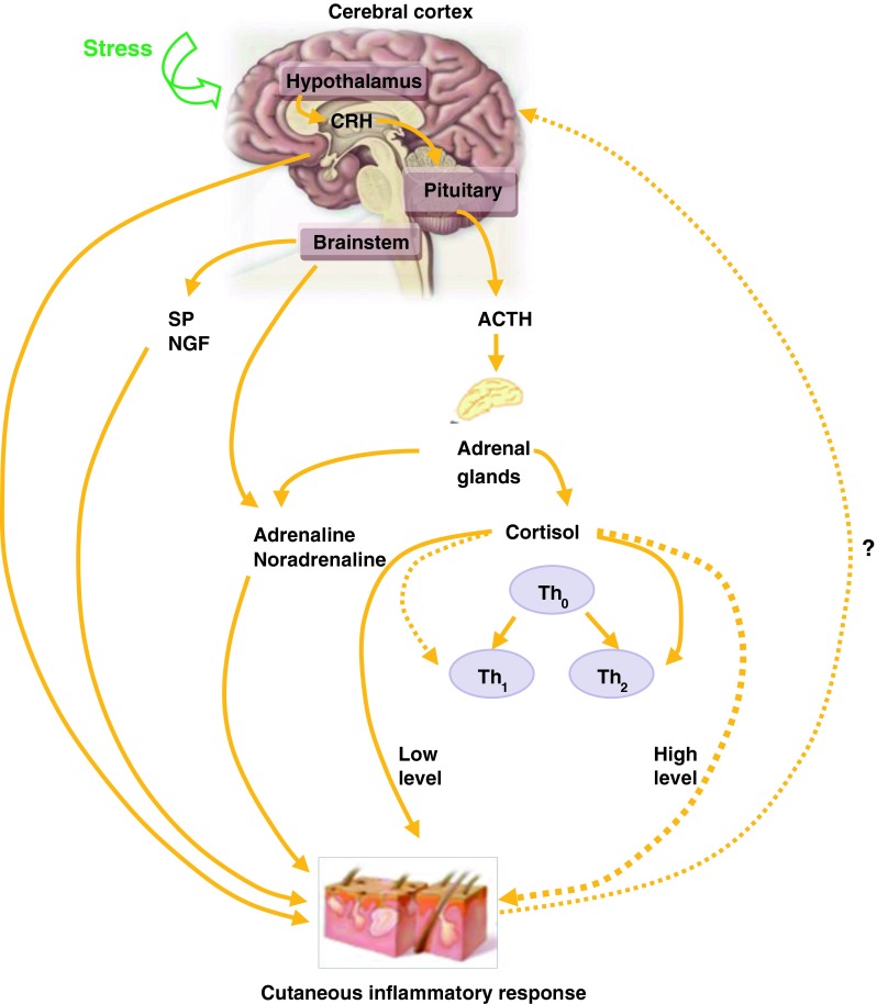 Fig. 1