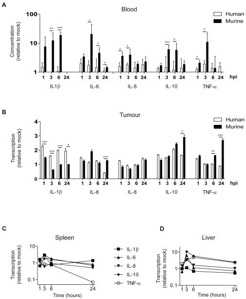 Fig.2