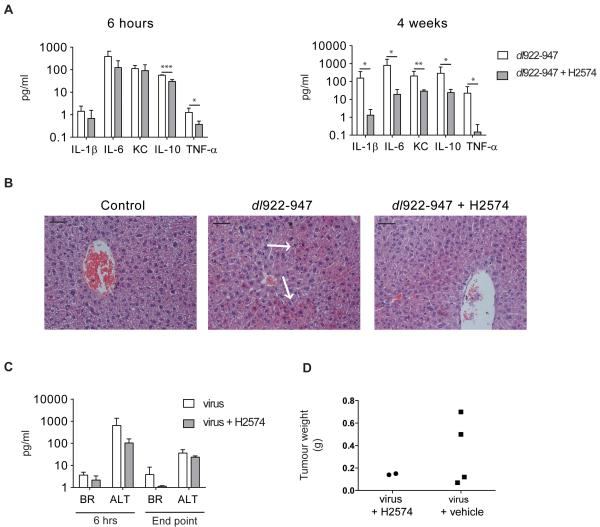 Fig.7