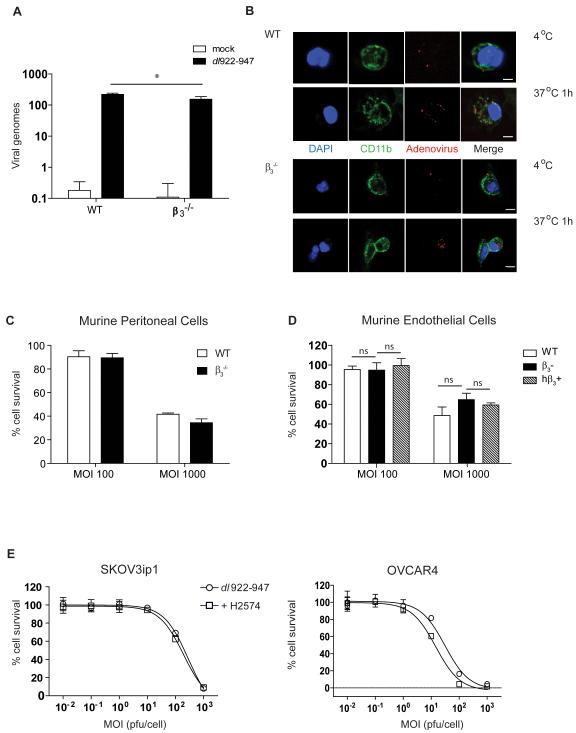 Fig.6