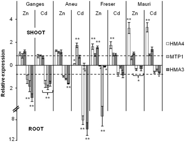 Figure 6